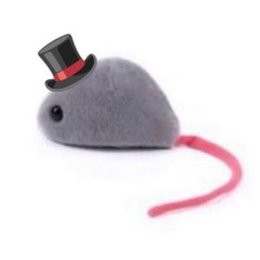 roving💤💨﷽﷽﷽﷽﷽﷽﷽﷽﷽﷽﷽﷽﷽﷽﷽﷽