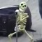 lilskelly