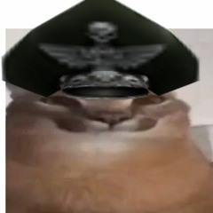 Mr.MetalloloM