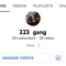 223 gang