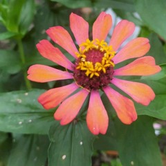 lv.uuseisidunia