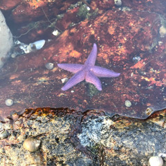 gerne_ein_bisschen_abstraktion