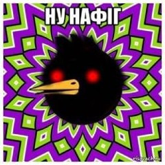 федор яйца archive