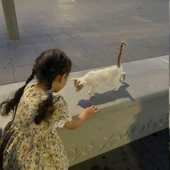 رَحْمَة مُحمّد