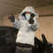 Slick Gang Lo Ski