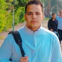 عبدالعزيز محمود