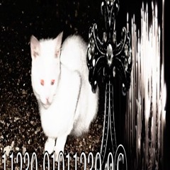 XXSTRAROUNDSS