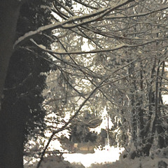Snow