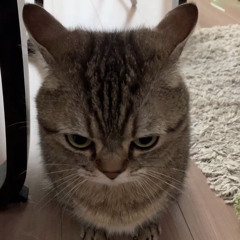 𐎉`⌁ ◜Namcha◞ 𐏎