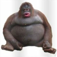 sir Oofer