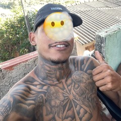 ZM DIVULGA HIT 027✪