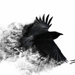 Mojo Crow
