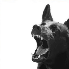 lonely cupid 💘☠️