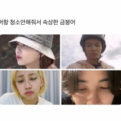 SVT FOLLOW 인천 앙콘 응원법
