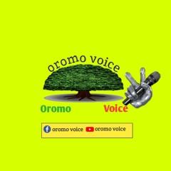 Oromo Voice