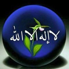 Asmahan Elshenawy