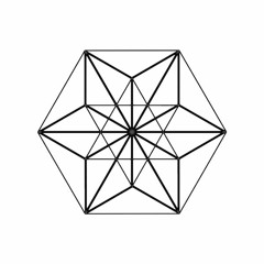 Polygon Network *