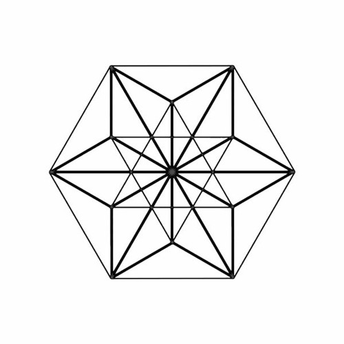 Polygon Network *’s avatar