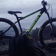 Spielmann Alex Robert