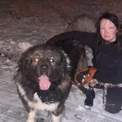 Sonja Nikoskinen