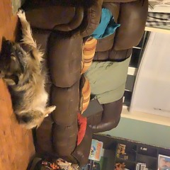 Youlookliketaylorswiftinthislight