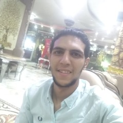 hamodyhisham@yahoo.com