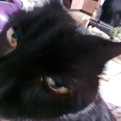 Elija Jančauskaitė