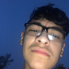 gus avendano