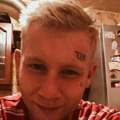 vitslikvinchik