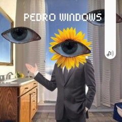Pedrowindows