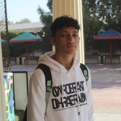 Anas Tamer