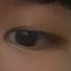 Yung Turtol