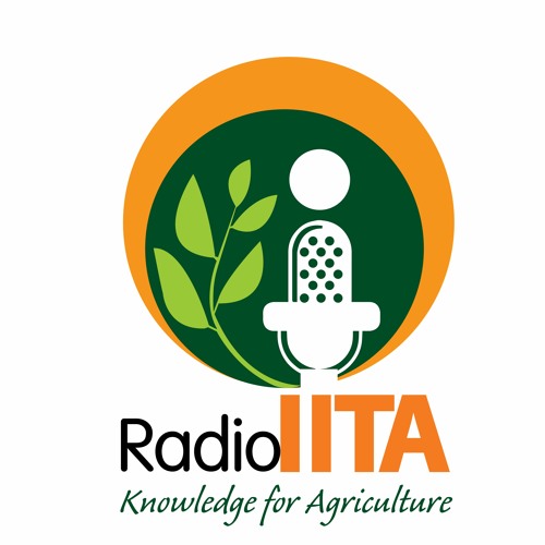 The Use of Technology in Sorghum and Maize Production with Titi Ogundowole - 11 Oct - 2021
