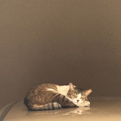 ろどりげすにゃんたろう