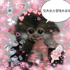 지윤