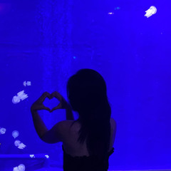 Huỳnh Lan Anh