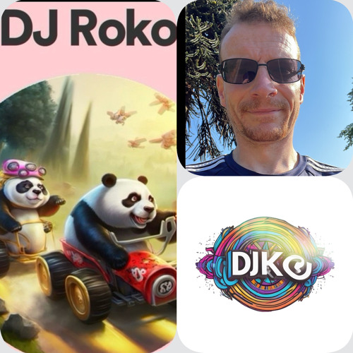 DJ Roko’s avatar