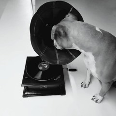 Analog Vs Machine