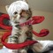 ♂xXxDoMiNaToR_kisok_2005♡xXx