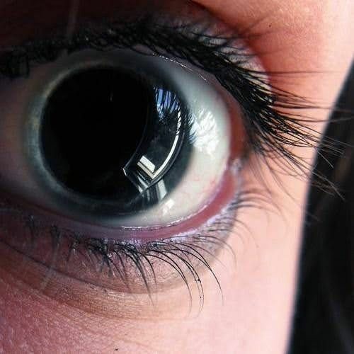 Du Nimmst Zu Viel Part 1 (test)