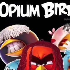 opium birds