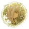 Shiho! Hinomori!