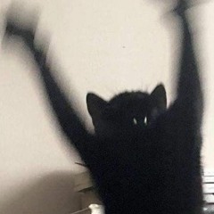 dailli