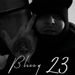blizzy23