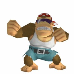 funky kong