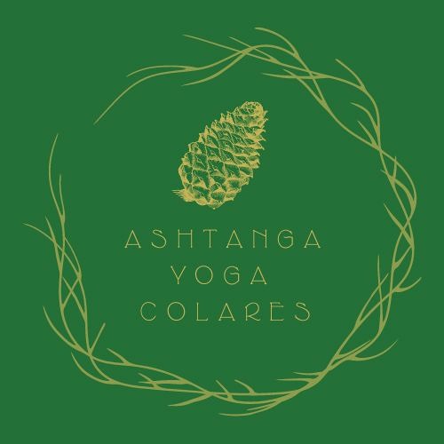 Stream Ashtanga Yoga Colares | Listen to podcast episodes online for free  on SoundCloud