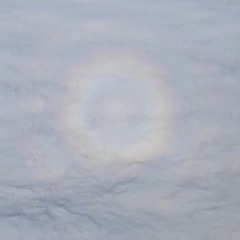 skytefor