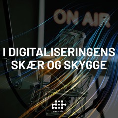 Hans Ravnkjær Larsen, Dansk IT