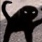 angryfuckincat