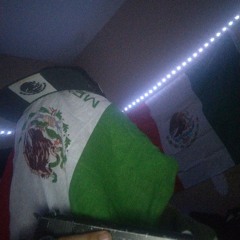 BΛCCWØØD BØRDER HØPPER